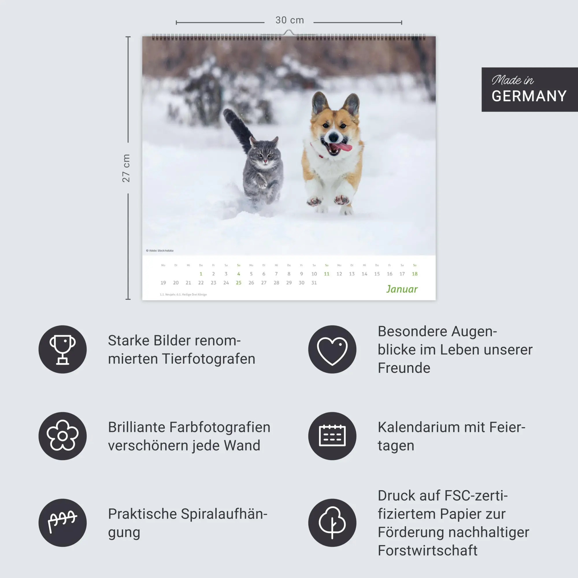 Bild: 9783756413492 | times&amp;more Echte Freunde Bildkalender 2026 | Heye | Kalender | 14 S.