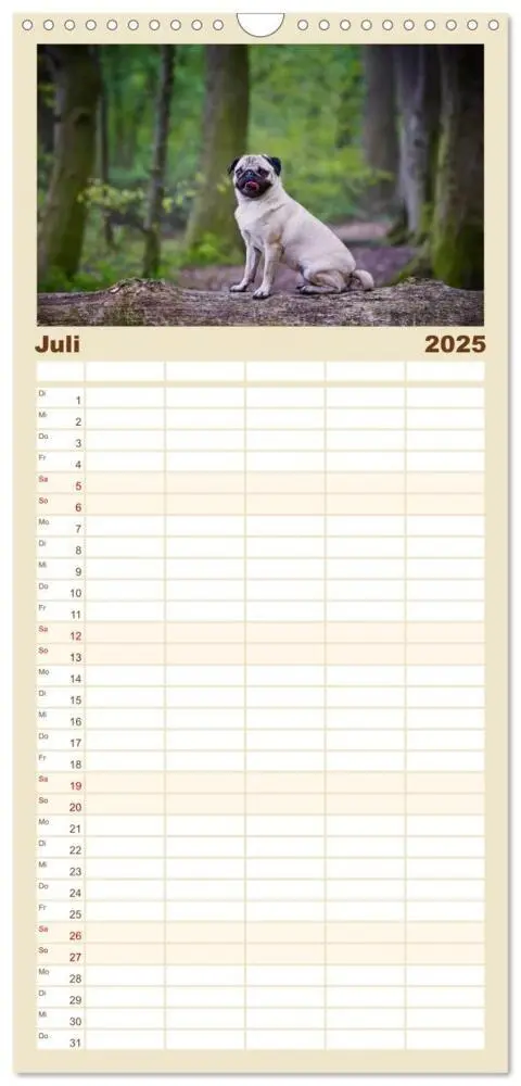 Bild: 9783457113592 | Familienplaner 2025 - Mops mit 5 Spalten (Wandkalender, 21 x 45 cm)...