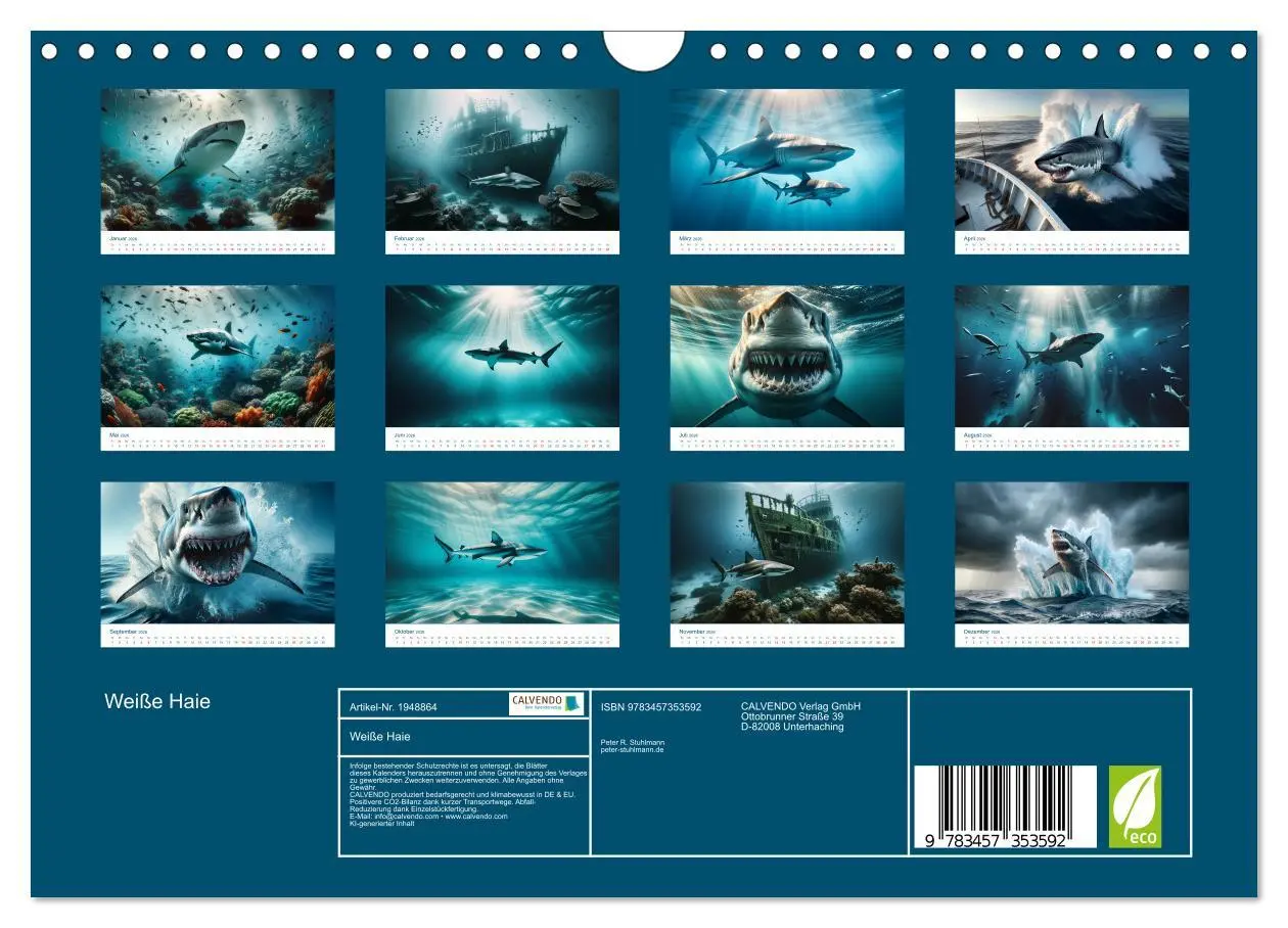 Bild: 9783457353592 | Weiße Haie (Wandkalender 2026 DIN A4 quer), CALVENDO Monatskalender