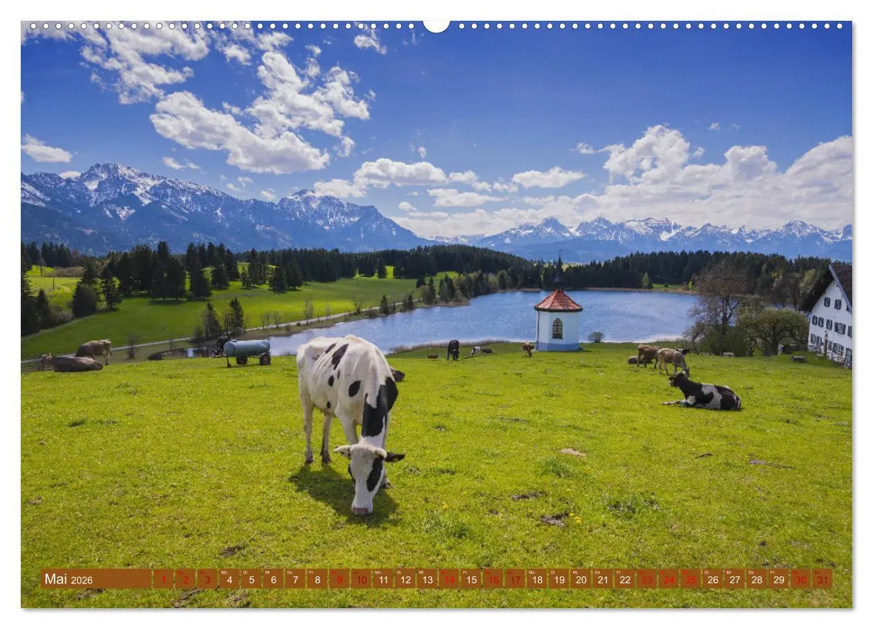 Bild: 9783457733592 | Allgäuer Schönheiten Allgäu - Land der Kühe (hochwertiger Premium...