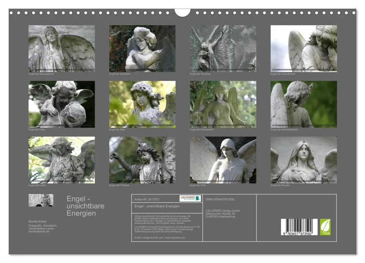 Bild: 9783457973592 | Engel - unsichtbare Energien (Wandkalender 2026 DIN A3 quer),...