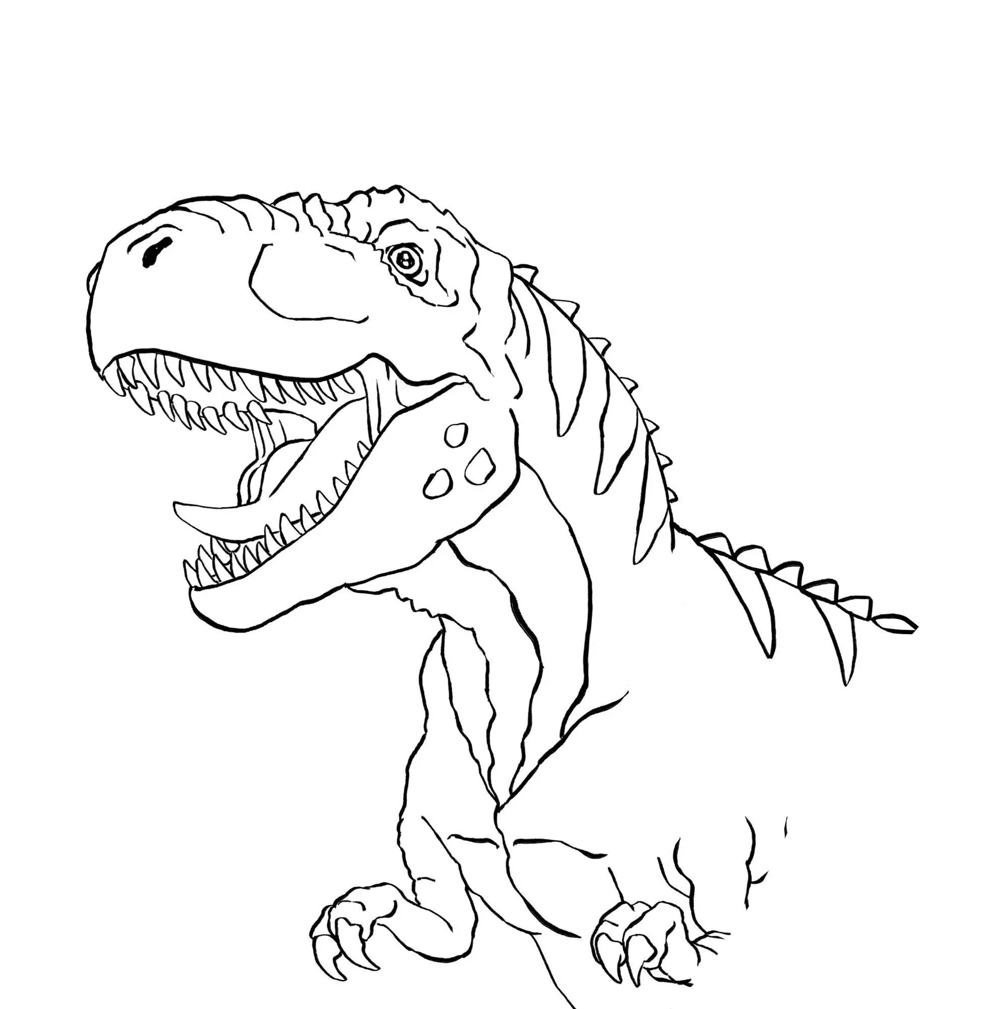 Bild: 9783649653592 | Malbuch (T-Rex World) | Raimund Frey | Taschenbuch | 96 S. | Deutsch