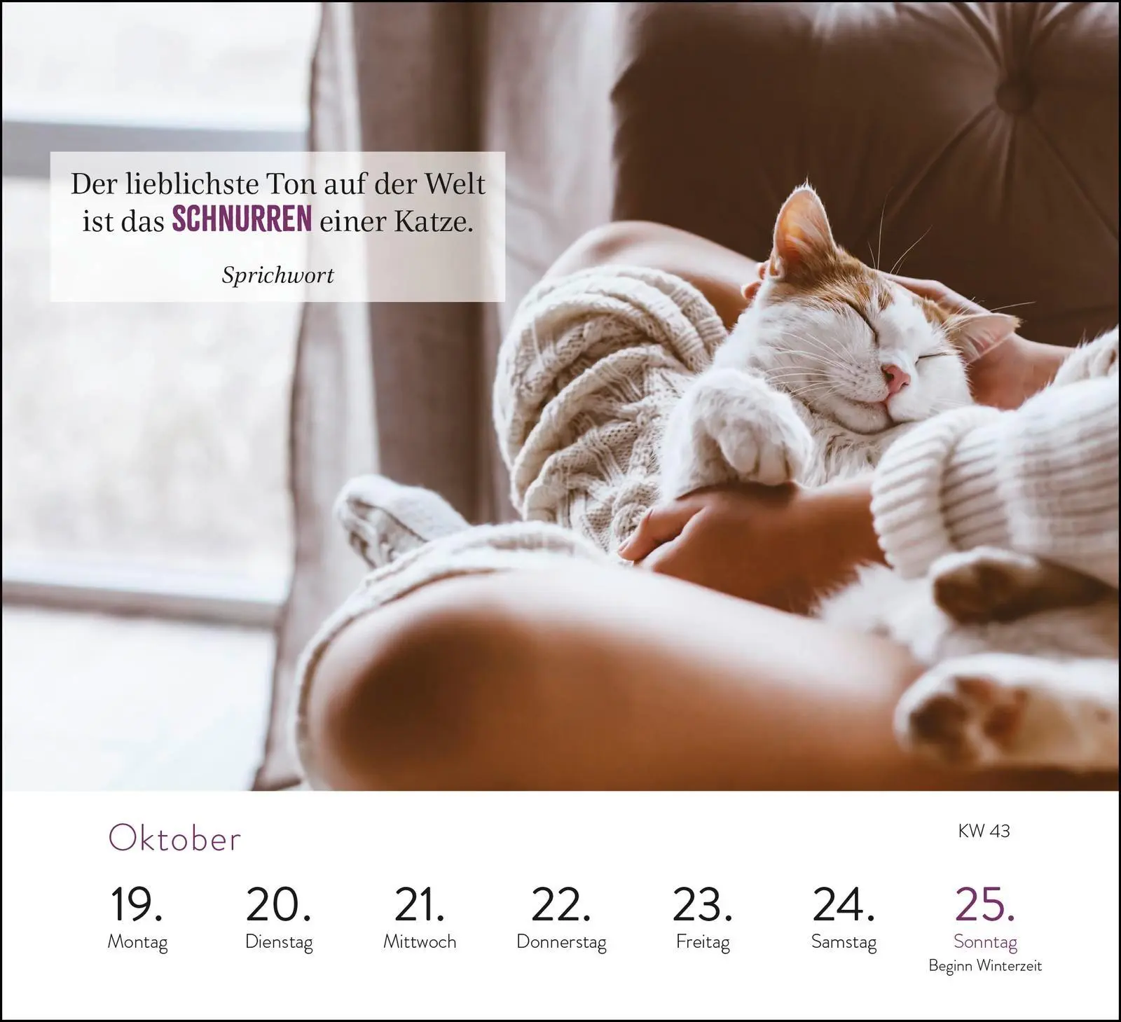 Bild: 4036442013892 | Wochenkalender 2026: Kluge Katzen | Groh Verlag | Kalender | 108 S.