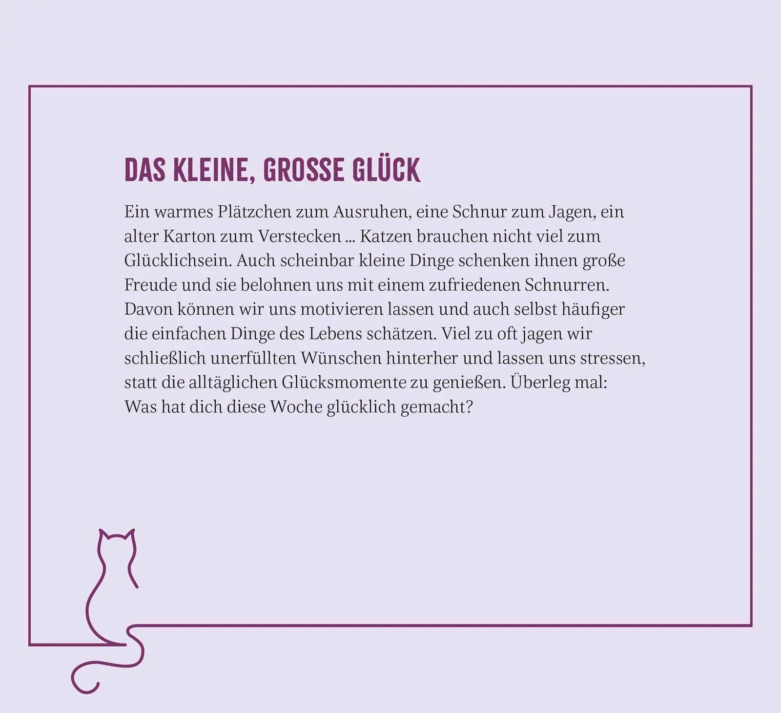 Bild: 4036442013892 | Wochenkalender 2026: Kluge Katzen | Groh Verlag | Kalender | 108 S.