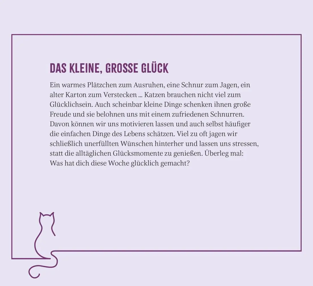 Bild: 4036442013892 | Wochenkalender 2026: Kluge Katzen | Groh Verlag | Kalender | Deutsch