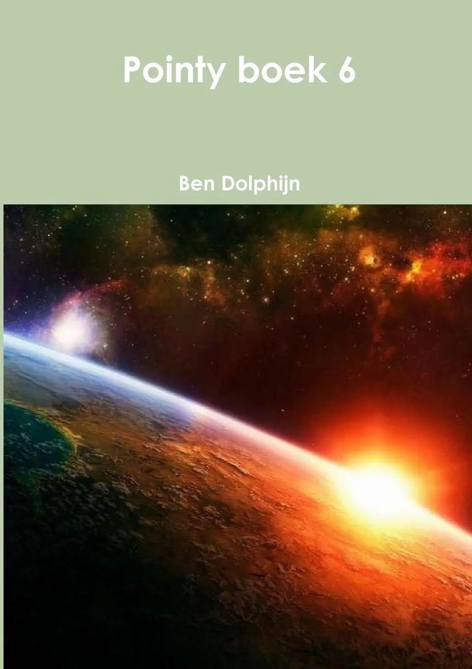 Cover: 9780244773892 | Pointy boek 6 | Ben Dolphijn | Taschenbuch | Kartoniert / Broschiert