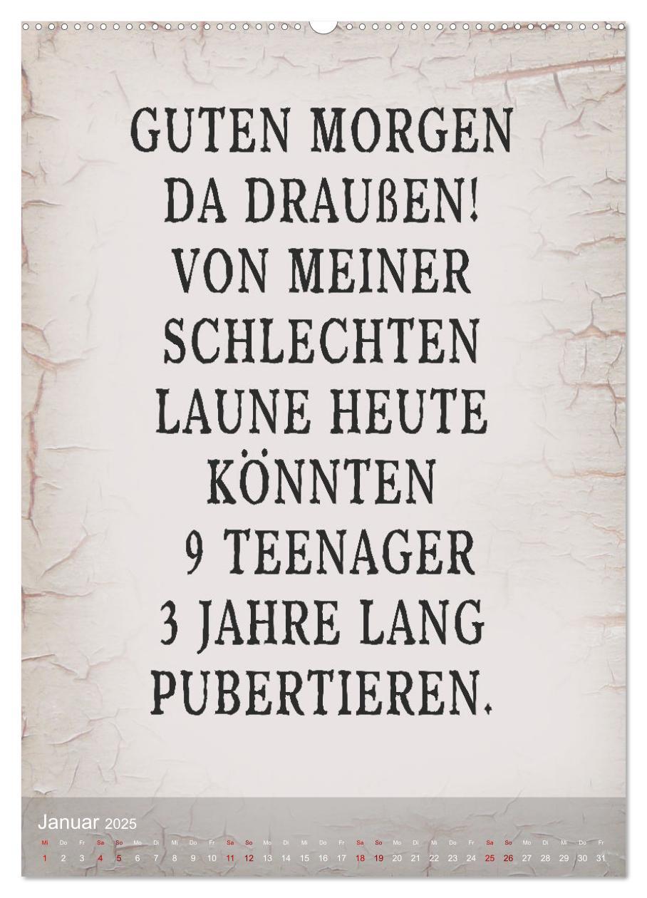Bild: 9783457183892 | Ziemlich schlecht gelaunt (Wandkalender 2025 DIN A2 hoch), CALVENDO...