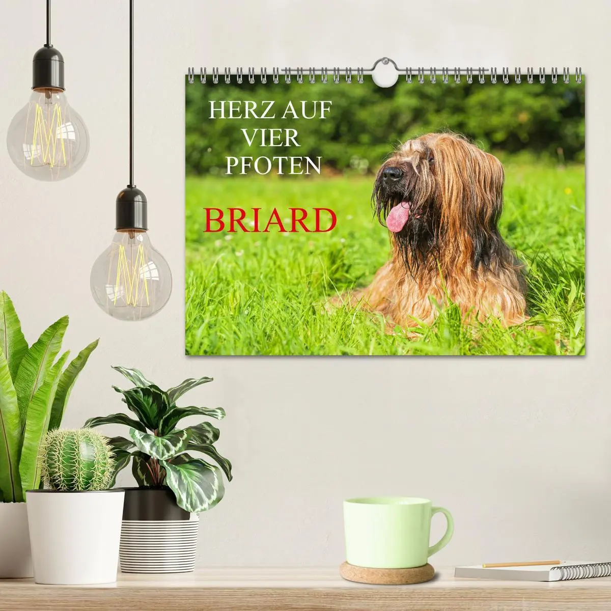 Bild: 9783457323892 | Herz auf vier Pfoten - Briard (Wandkalender 2026 DIN A4 quer),...