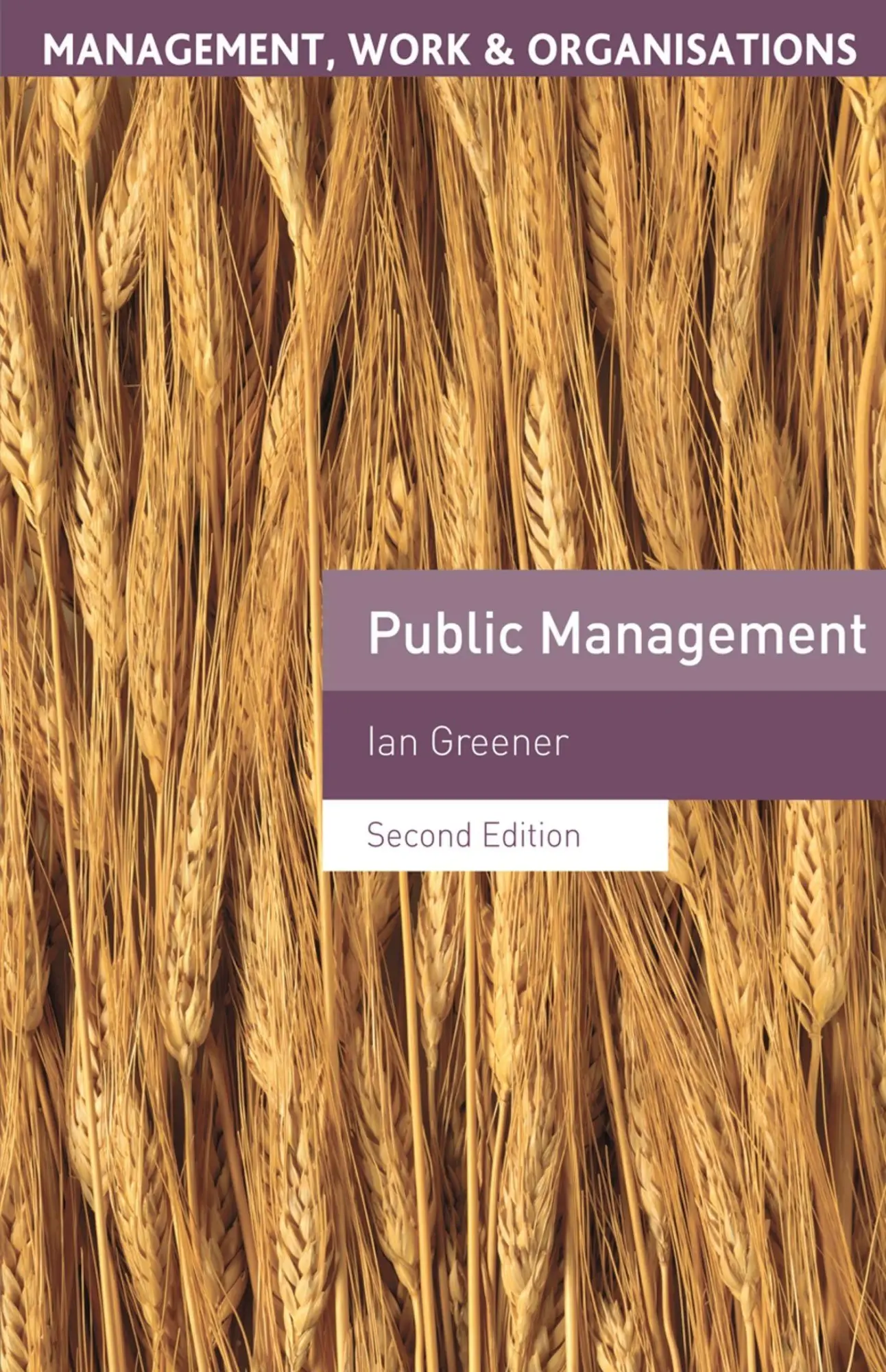 Cover: 9780230353992 | Public Management | Ian Greener | Taschenbuch | Englisch | 2012