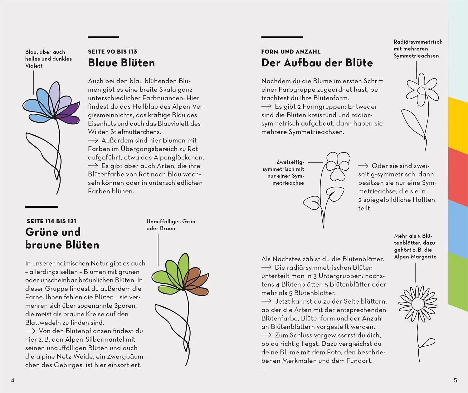 Bild: 9783440173992 | Basic Alpenblumen | einfach und sicher erkennen | Norbert Griebl