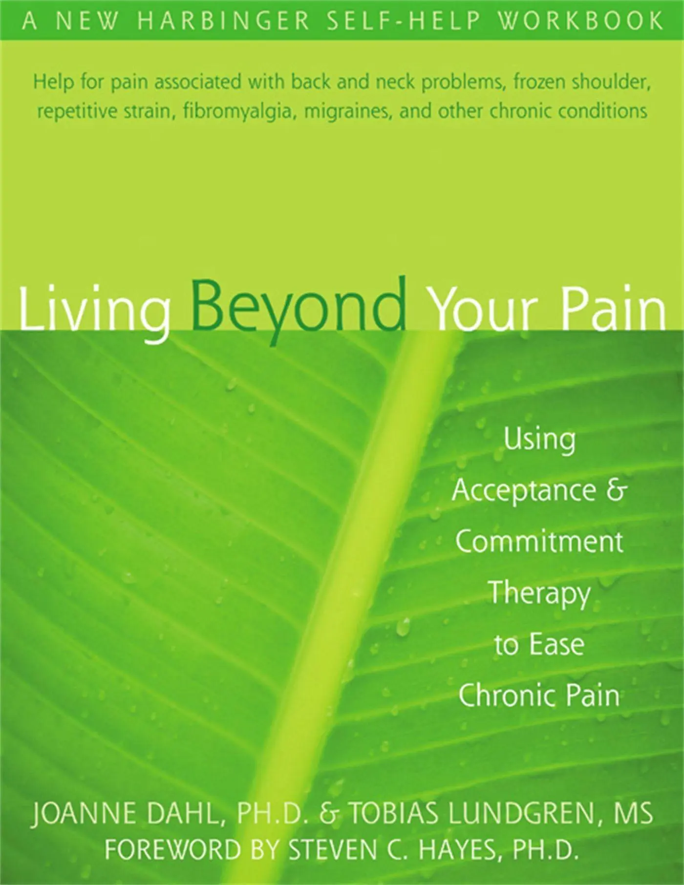 Cover: 9781572244092 | Living Beyond Your Pain | Joanne Dahl (u. a.) | Taschenbuch | Englisch