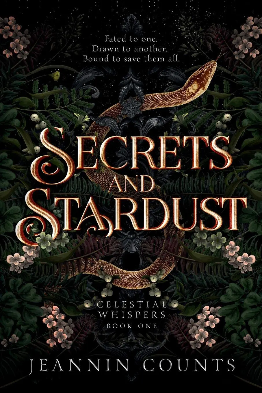Cover: 9781967044092 | Secrets and Stardust | Jeannin Counts | Taschenbuch | Englisch | 2026