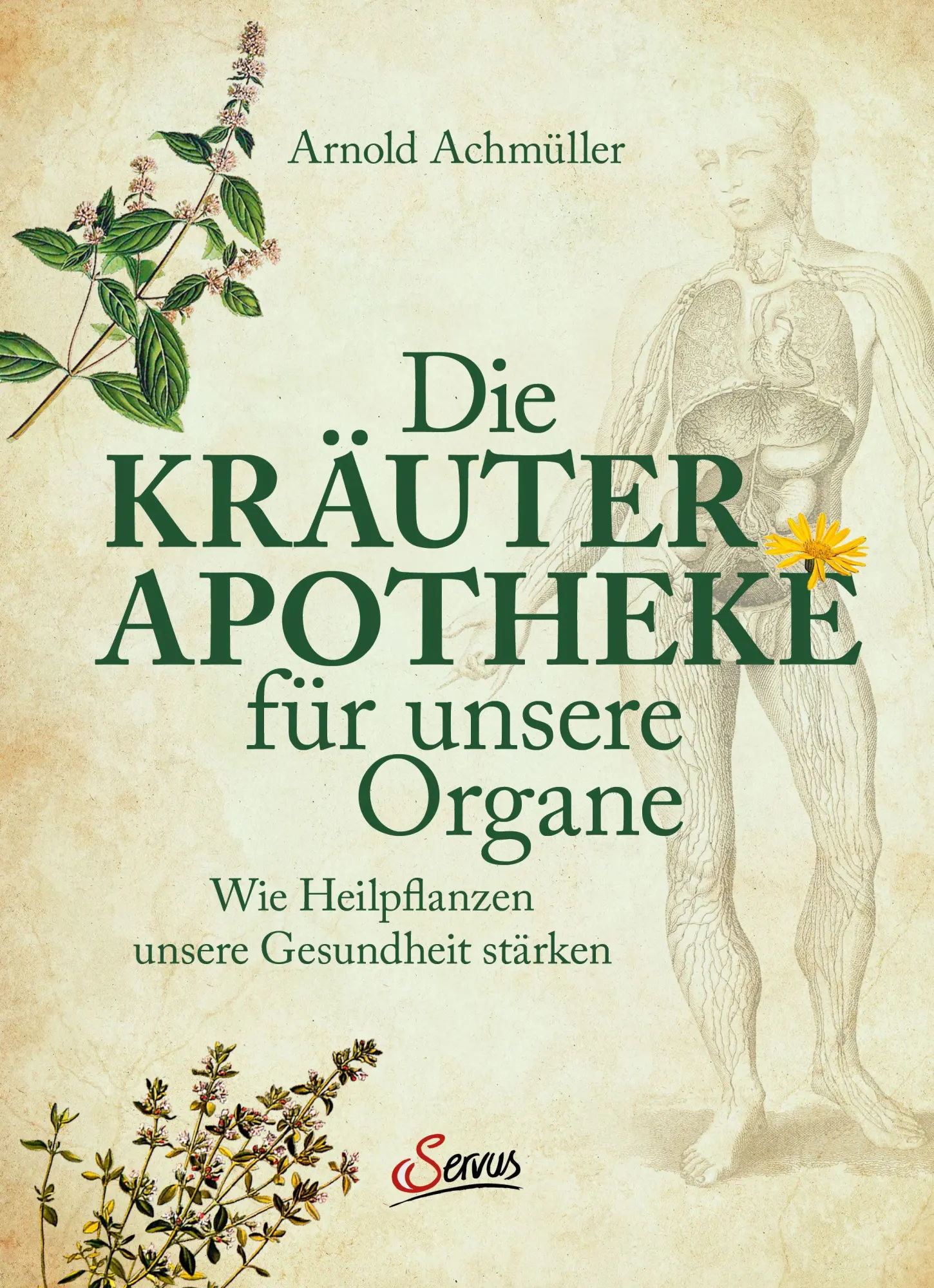 Cover: 9783710404092 | Die Kräuter-Apotheke für unsere Organe | Arnold Achmüller | Buch