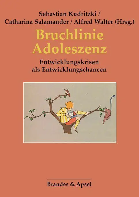 Cover: 9783955584092 | Bruchlinie Adoleszenz | Entwicklungskrisen als Entwicklungschancen