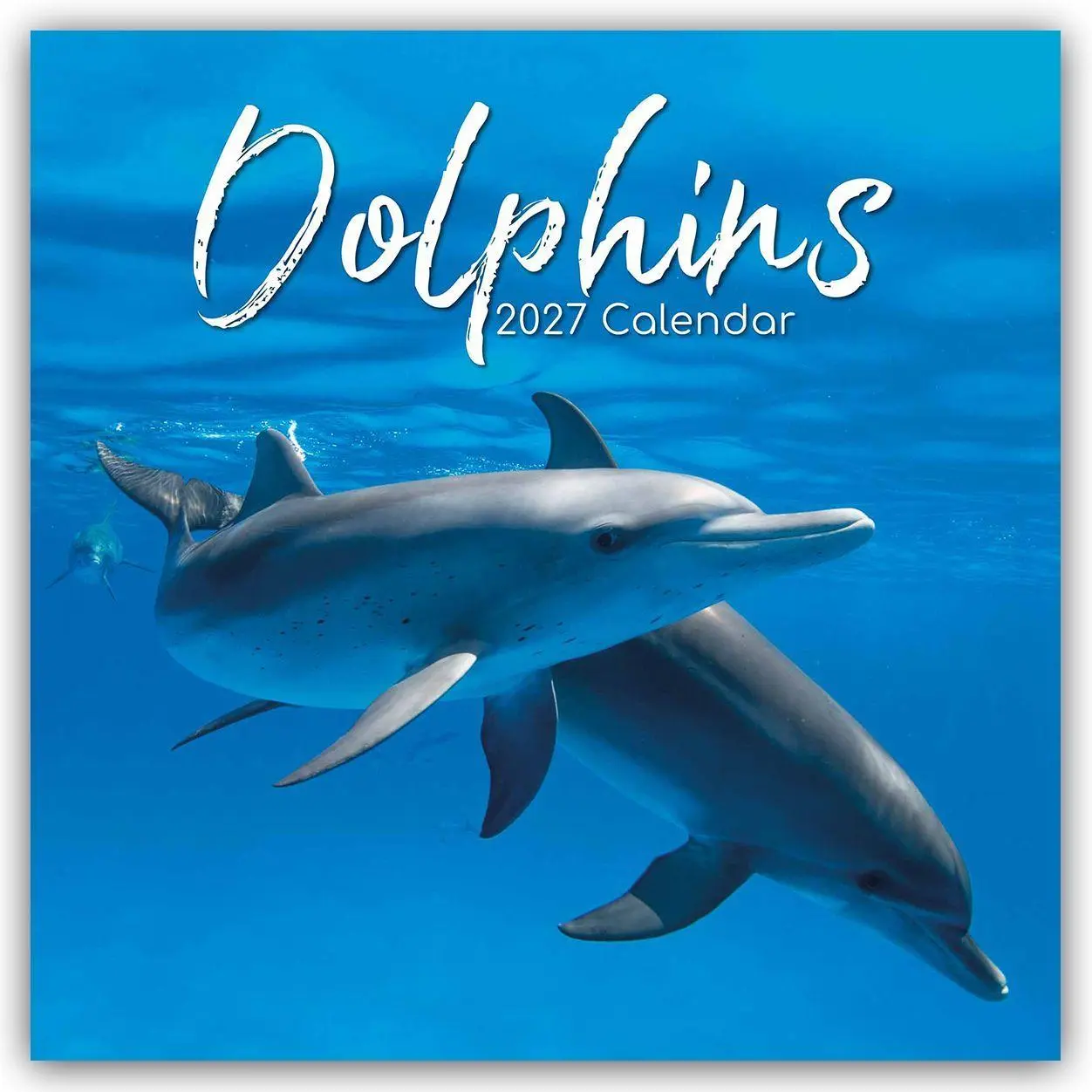 Cover: 9781805974192 | Dolphins - Delfine - Delphine 2027 - 16-Monatskalender | The Gifted