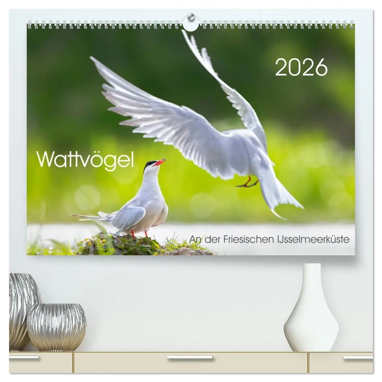 Cover: 9783457744192 | Wattvögel an der Friesischen IJsselmeerküste (hochwertiger Premium...