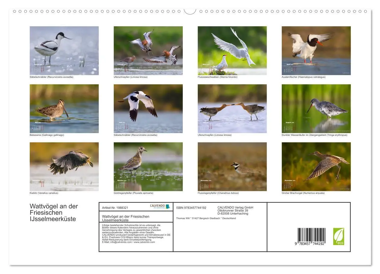 Bild: 9783457744192 | Wattvögel an der Friesischen IJsselmeerküste (hochwertiger Premium...