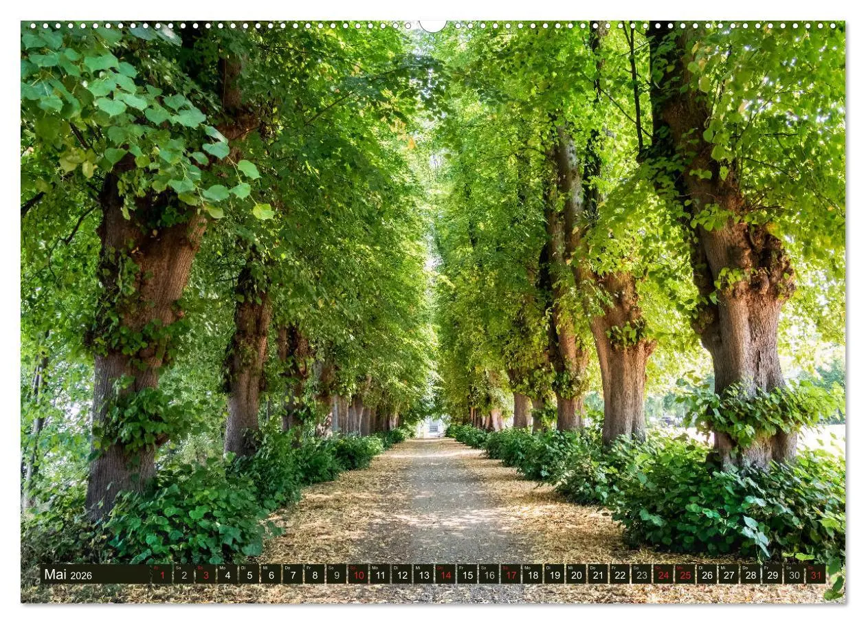Bild: 9783457814192 | Holsteinische Schweiz - Fünf-Seen-Landschaft (Wandkalender 2026 DIN...