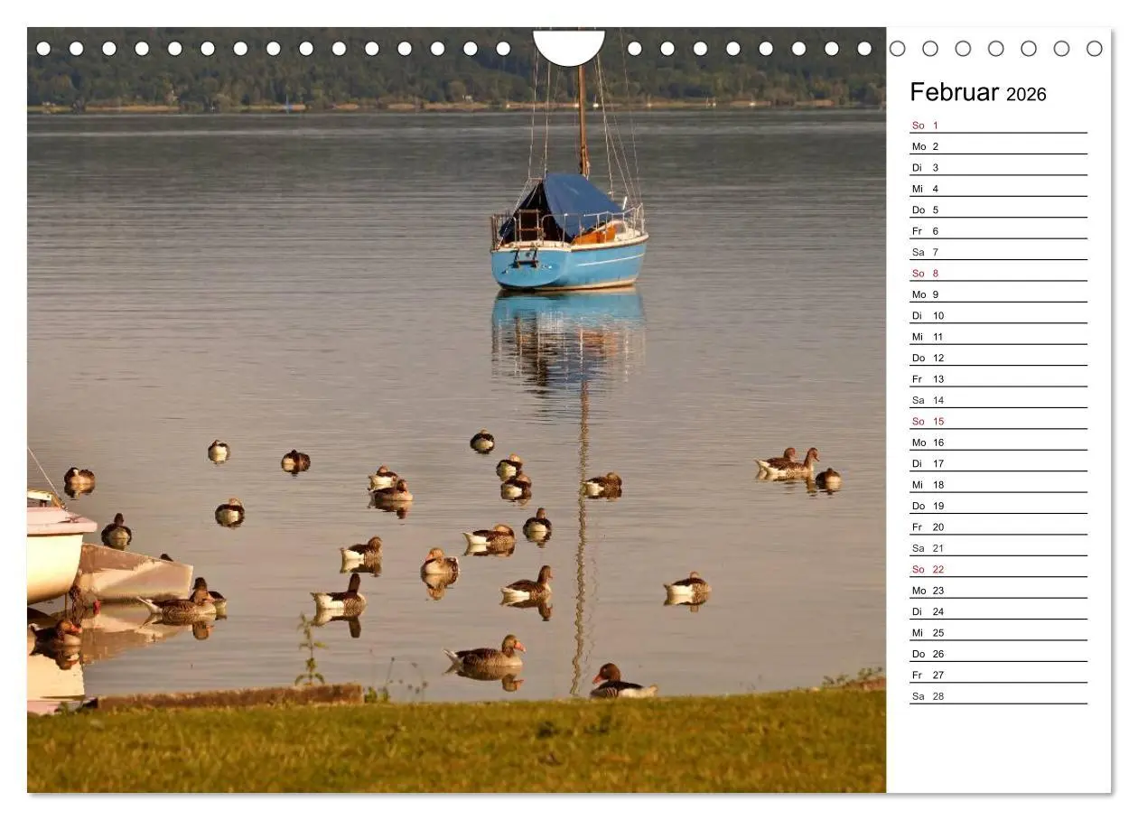 Bild: 9783457984192 | Seestärke - Der Ammersee (Wandkalender 2026 DIN A4 quer), CALVENDO...