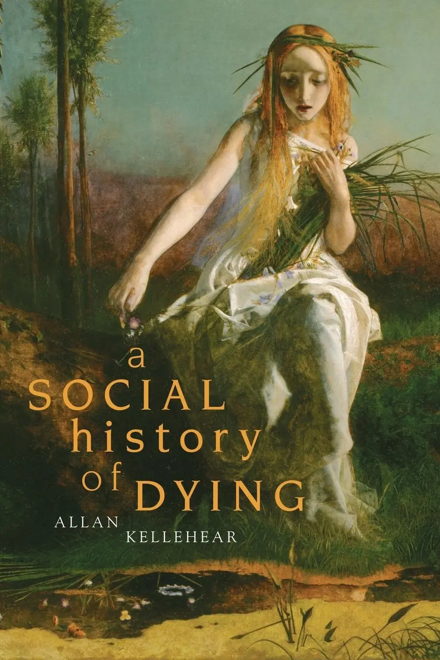 Cover: 9780521694292 | A Social History of Dying | Allan Kellehear | Taschenbuch | Englisch