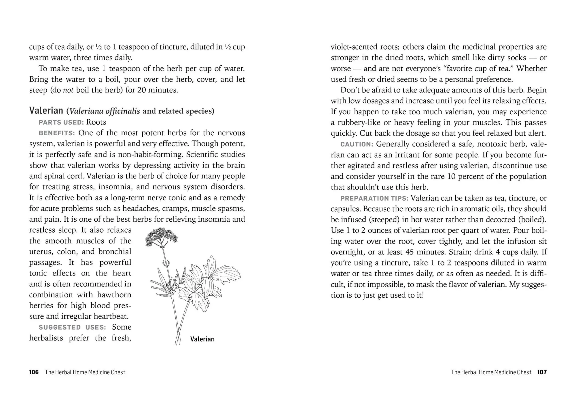 Bild: 9781612124292 | Herbs for Stress &amp; Anxiety | Rosemary Gladstar | Taschenbuch | 2014
