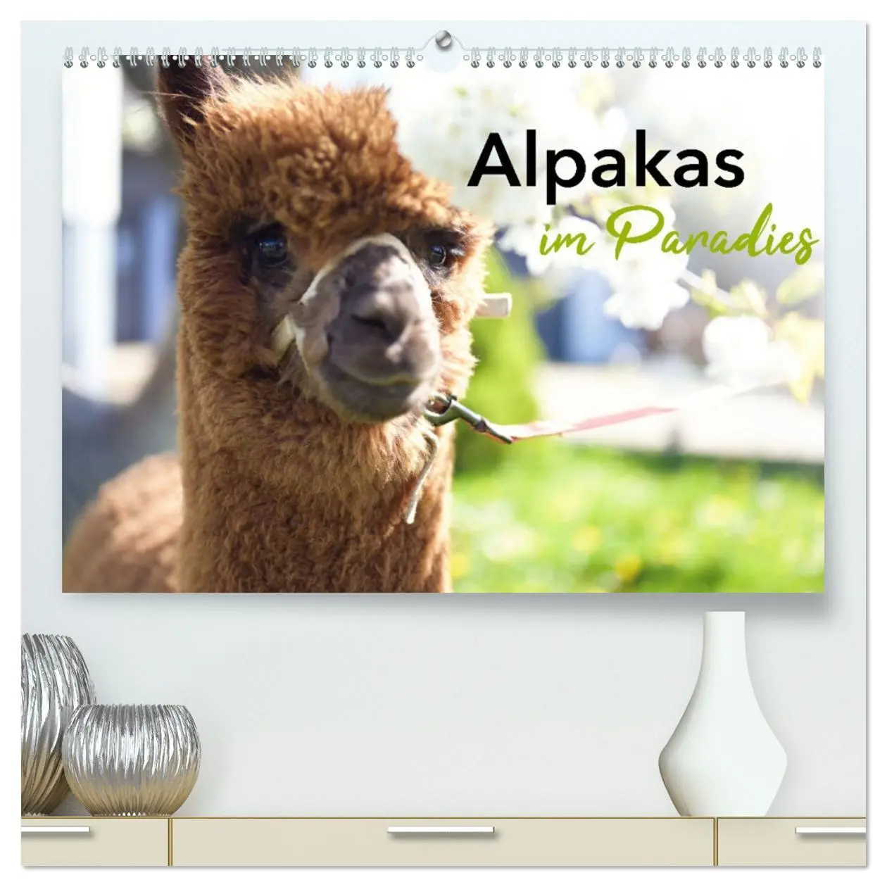 Cover: 9783457354292 | Alpakas im Paradies (hochwertiger Premium Wandkalender 2026 DIN A2...