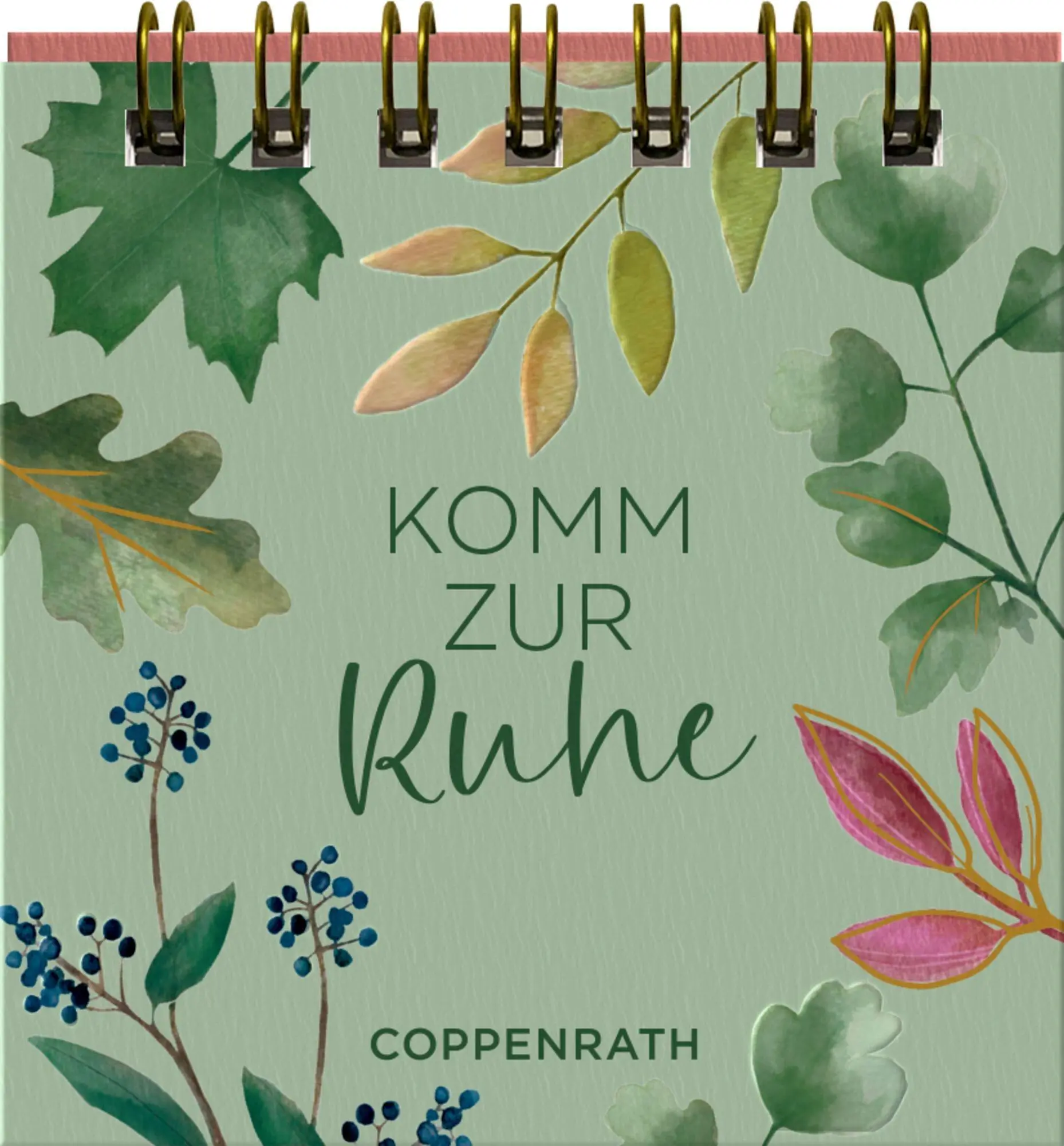 Cover: 9783649654292 | Komm zur Ruhe | Taschenbuch | 24 S. | Deutsch | 2026 | Coppenrath