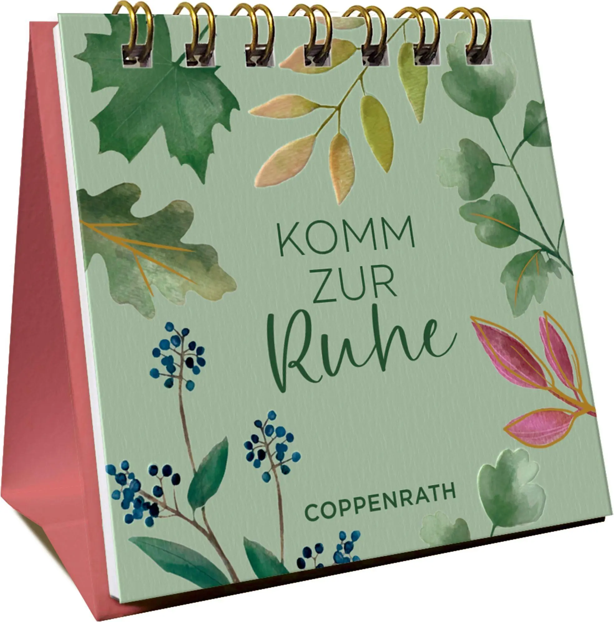 Bild: 9783649654292 | Komm zur Ruhe | Taschenbuch | 24 S. | Deutsch | 2026 | Coppenrath