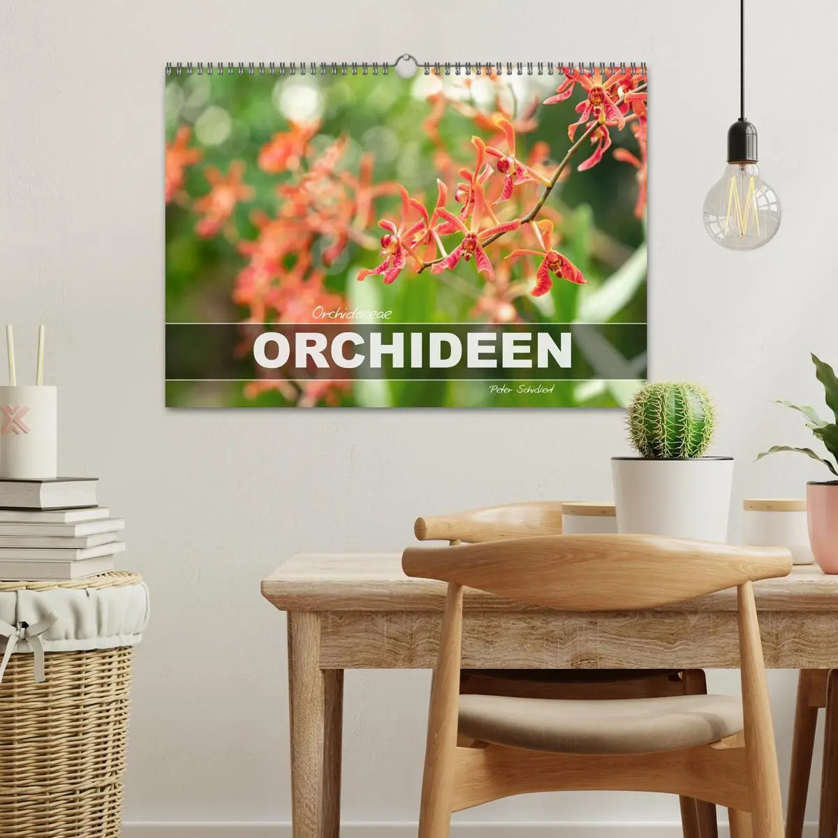 Bild: 9783457274392 | Orchidaceae - Orchideen (Wandkalender 2026 DIN A3 quer), CALVENDO...
