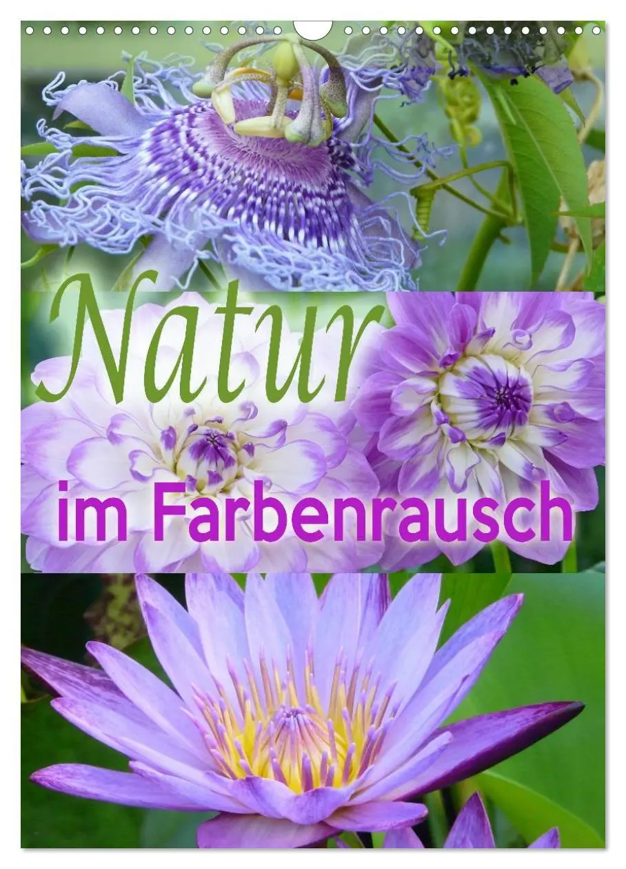 Cover: 9783516434392 | Natur im Farbenrausch (Wandkalender 2026 DIN A3 hoch), CALVENDO...