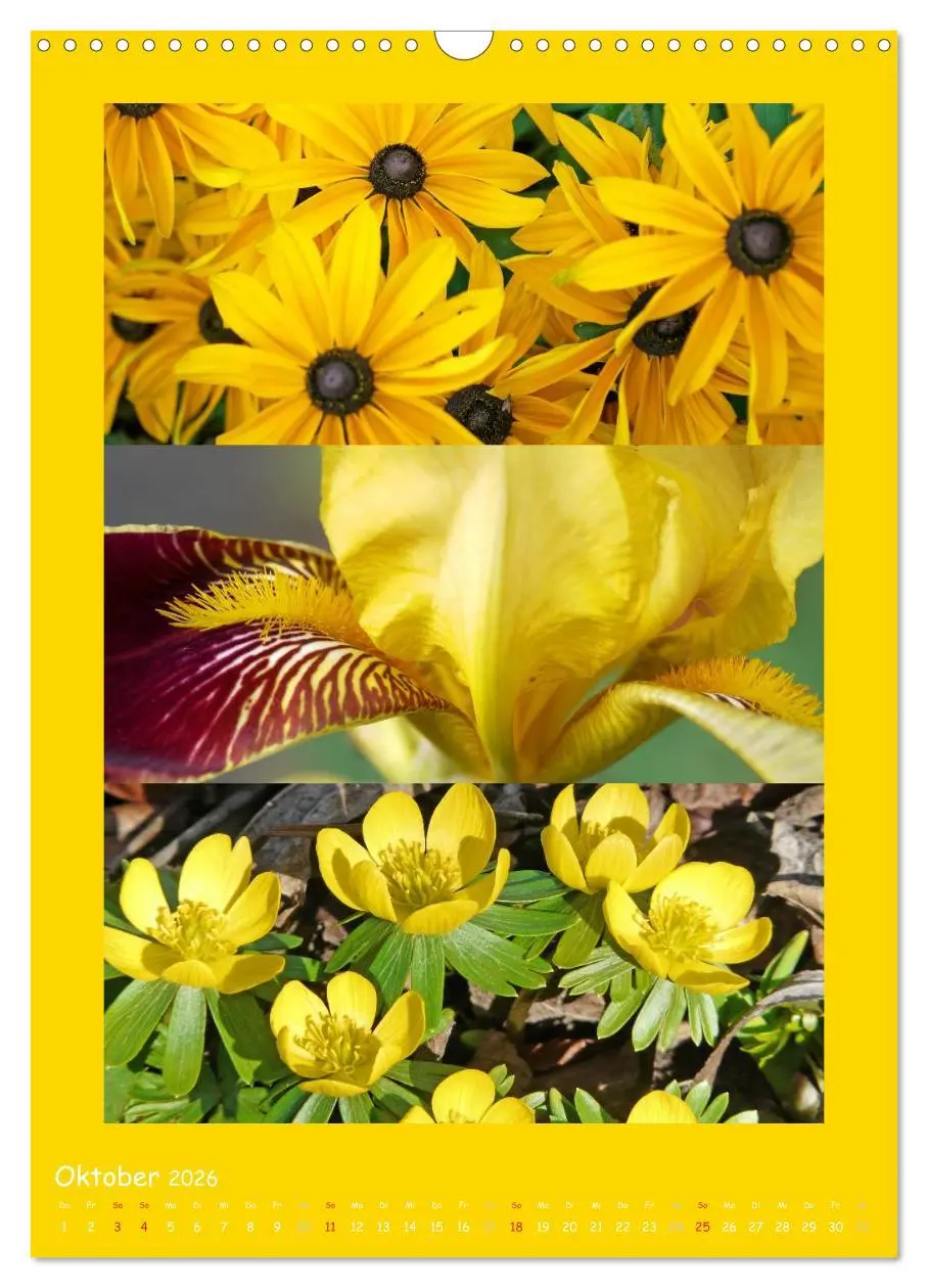 Bild: 9783516434392 | Natur im Farbenrausch (Wandkalender 2026 DIN A3 hoch), CALVENDO...