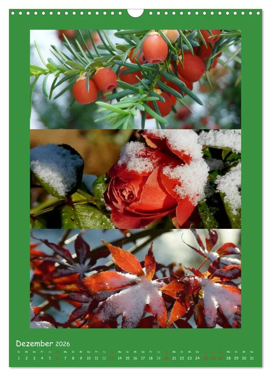 Bild: 9783516434392 | Natur im Farbenrausch (Wandkalender 2026 DIN A3 hoch), CALVENDO...