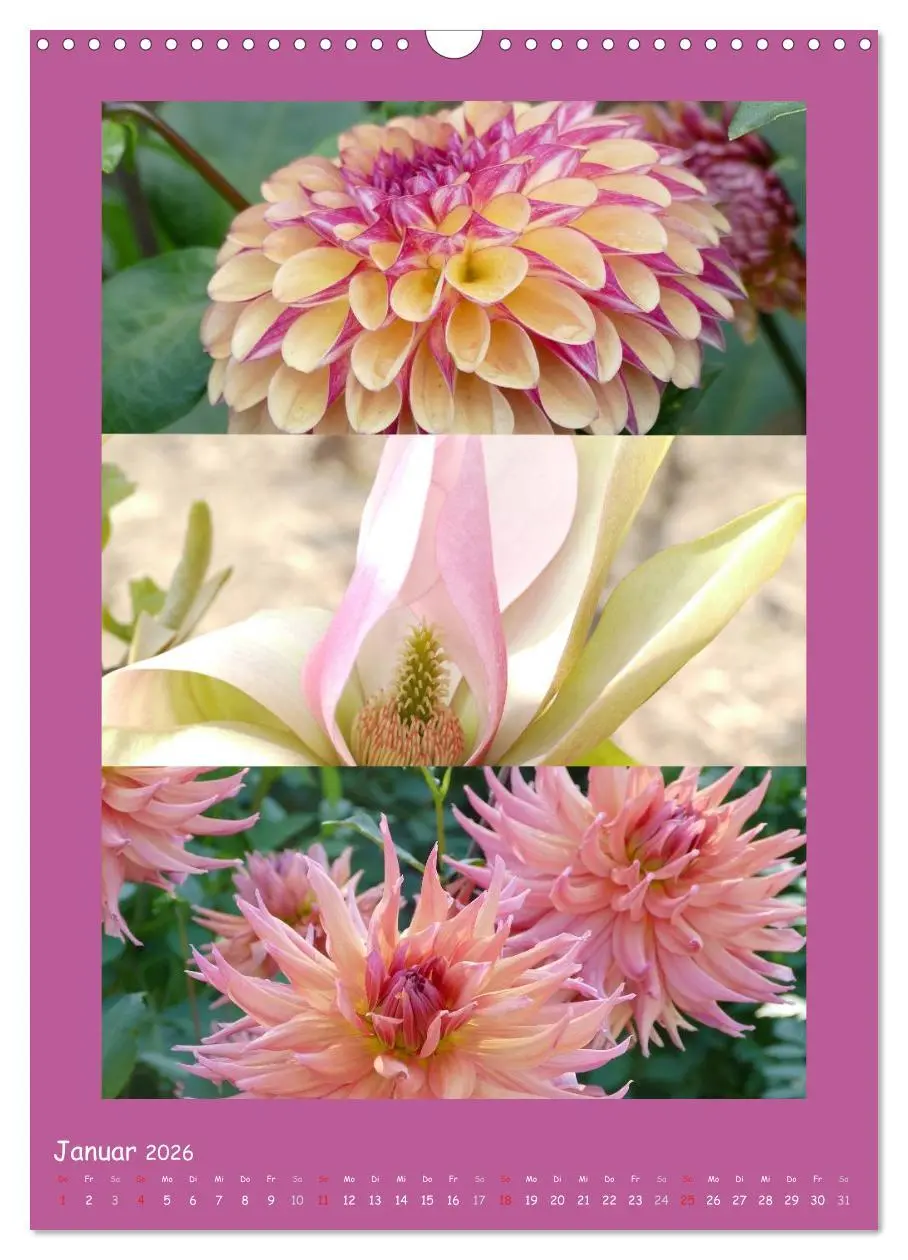 Bild: 9783516434392 | Natur im Farbenrausch (Wandkalender 2026 DIN A3 hoch), CALVENDO...