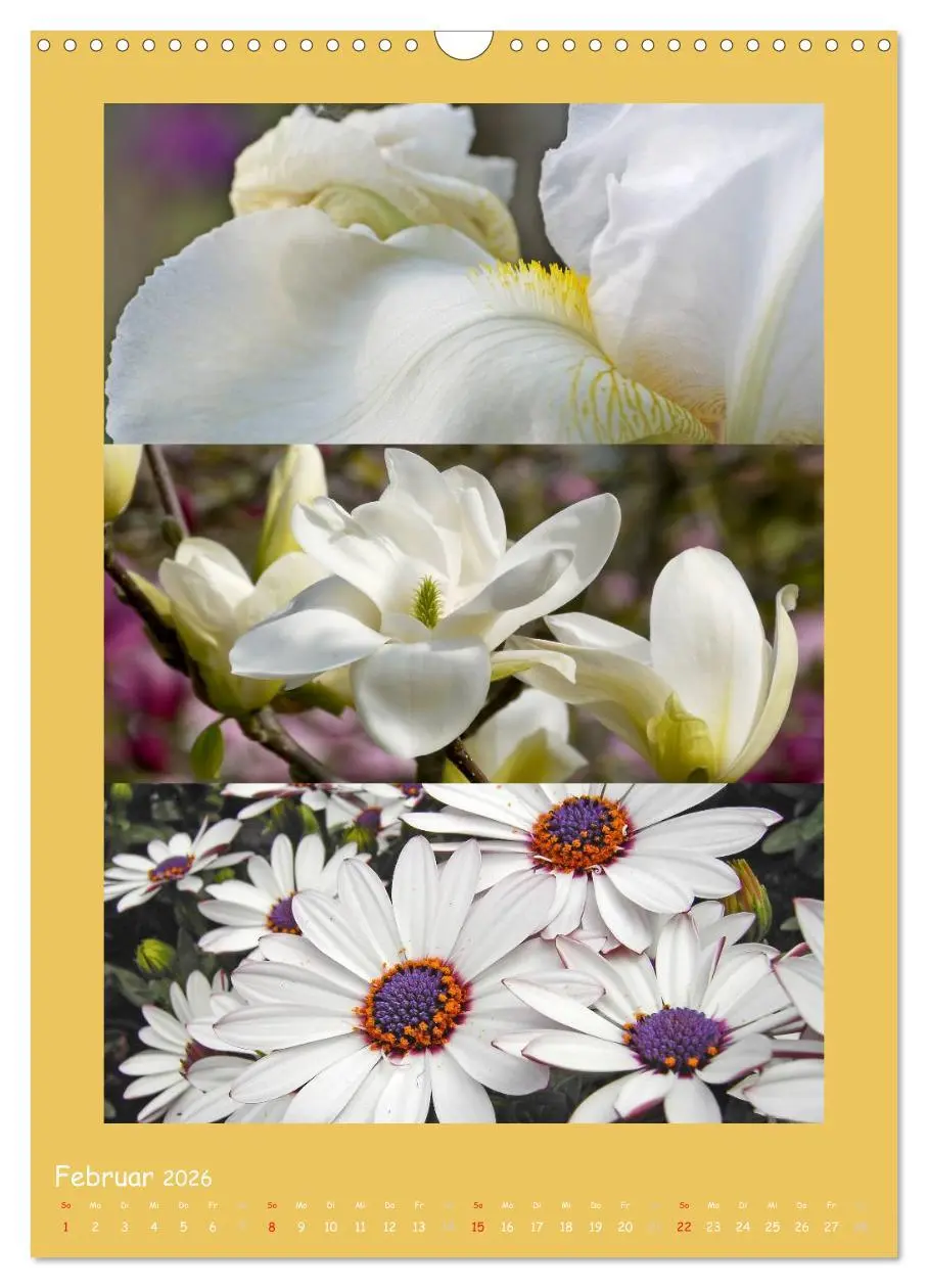 Bild: 9783516434392 | Natur im Farbenrausch (Wandkalender 2026 DIN A3 hoch), CALVENDO...