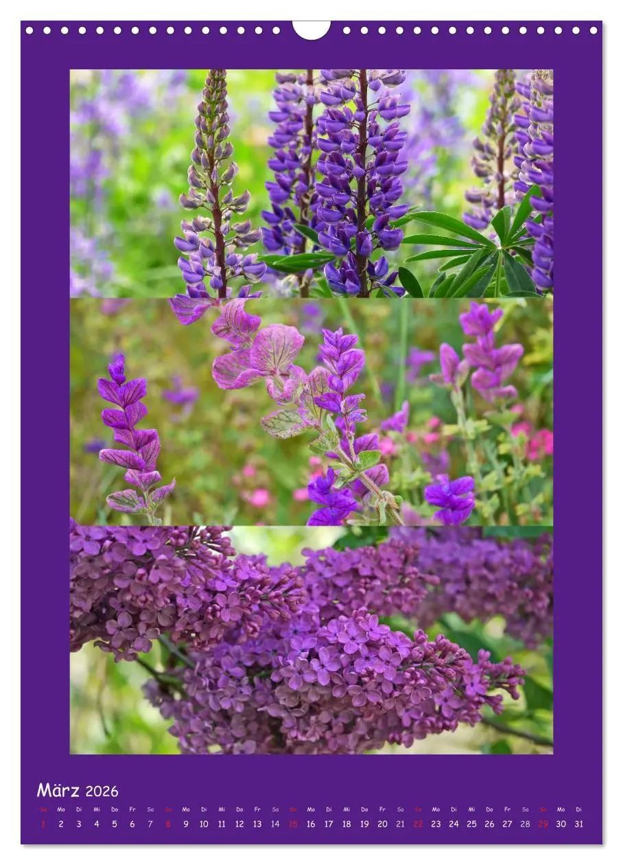 Bild: 9783516434392 | Natur im Farbenrausch (Wandkalender 2026 DIN A3 hoch), CALVENDO...