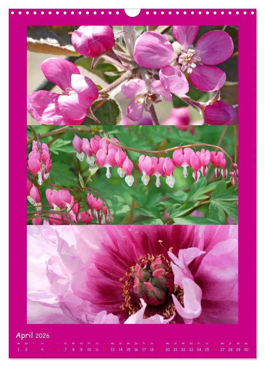 Bild: 9783516434392 | Natur im Farbenrausch (Wandkalender 2026 DIN A3 hoch), CALVENDO...