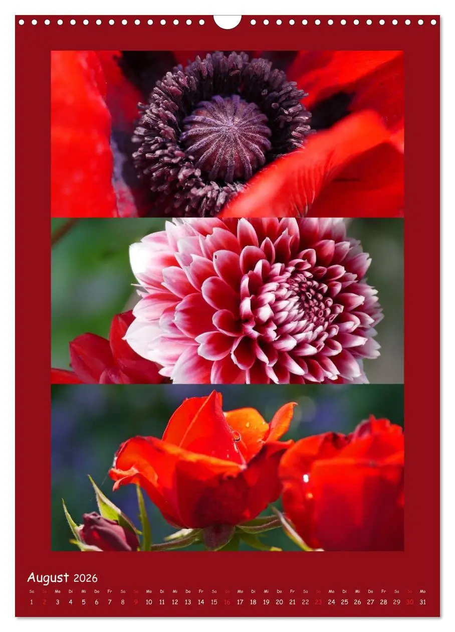 Bild: 9783516434392 | Natur im Farbenrausch (Wandkalender 2026 DIN A3 hoch), CALVENDO...
