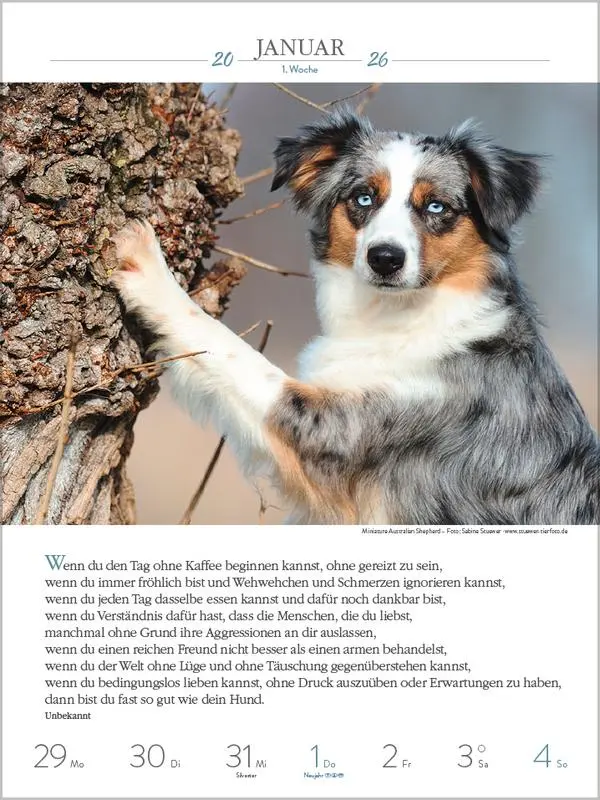 Bild: 9783731884392 | Literaturkalender Hunde 2026 | Verlag Korsch | Kalender | 54 S. | 2026