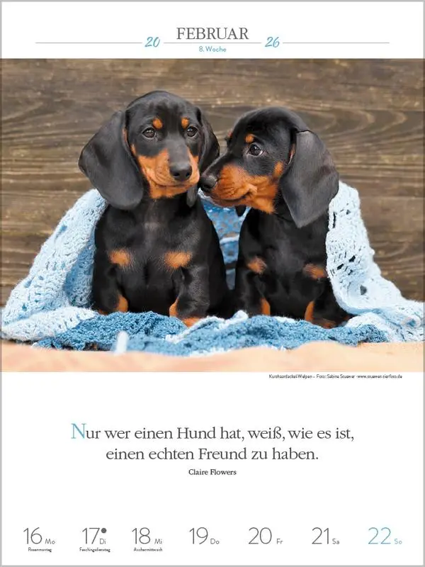 Bild: 9783731884392 | Literaturkalender Hunde 2026 | Verlag Korsch | Kalender | 54 S. | 2026