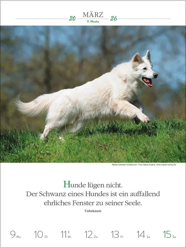 Bild: 9783731884392 | Literaturkalender Hunde 2026 | Verlag Korsch | Kalender | 54 S. | 2026