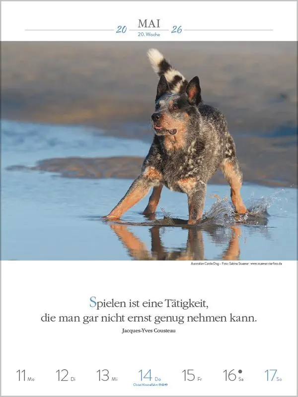 Bild: 9783731884392 | Literaturkalender Hunde 2026 | Verlag Korsch | Kalender | 54 S. | 2026