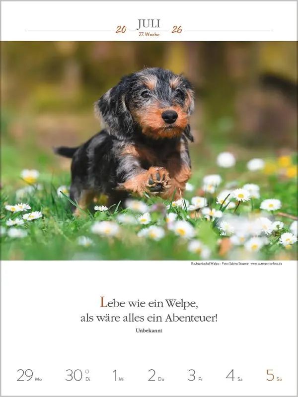 Bild: 9783731884392 | Literaturkalender Hunde 2026 | Verlag Korsch | Kalender | 54 S. | 2026