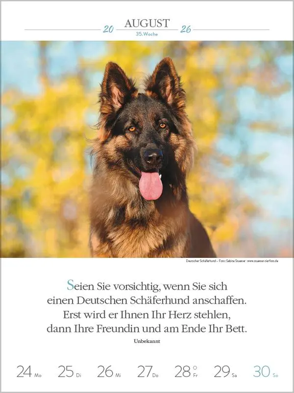 Bild: 9783731884392 | Literaturkalender Hunde 2026 | Verlag Korsch | Kalender | 54 S. | 2026