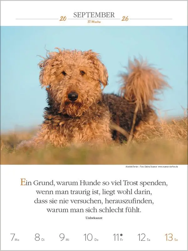 Bild: 9783731884392 | Literaturkalender Hunde 2026 | Verlag Korsch | Kalender | 54 S. | 2026