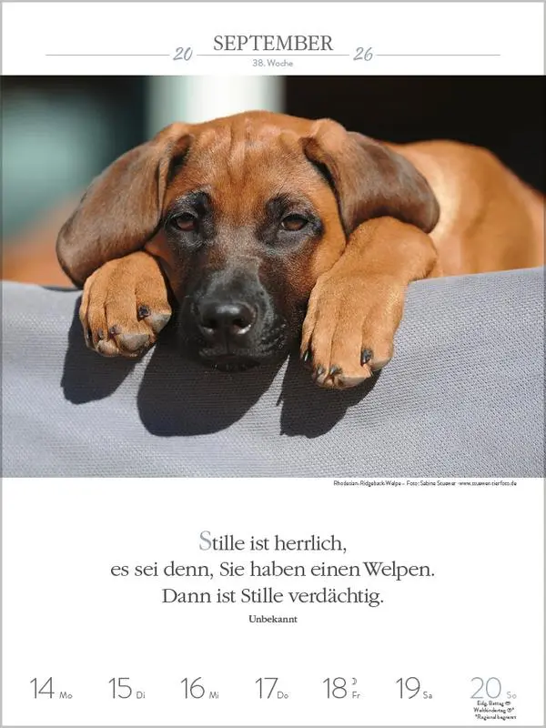 Bild: 9783731884392 | Literaturkalender Hunde 2026 | Verlag Korsch | Kalender | 54 S. | 2026