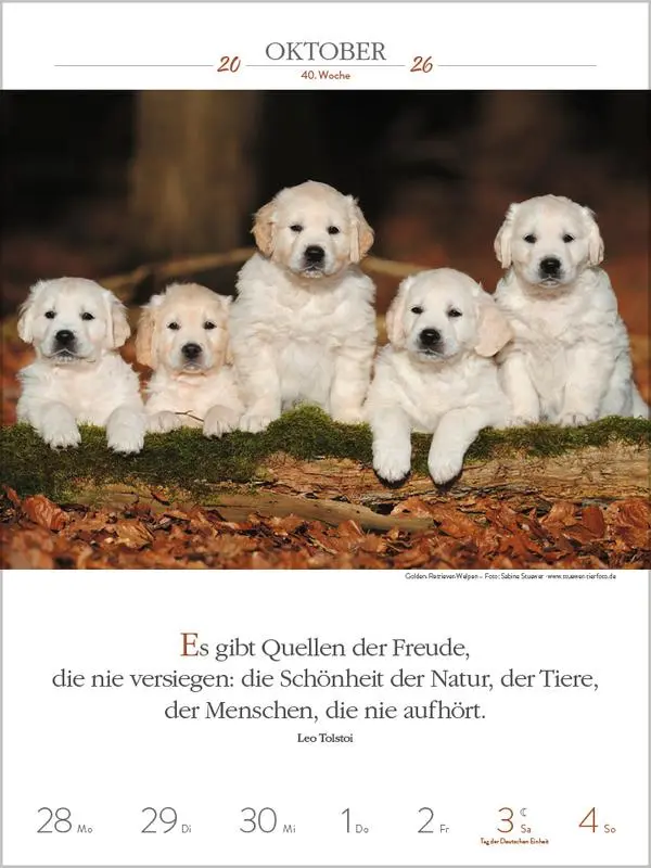 Bild: 9783731884392 | Literaturkalender Hunde 2026 | Verlag Korsch | Kalender | 54 S. | 2026