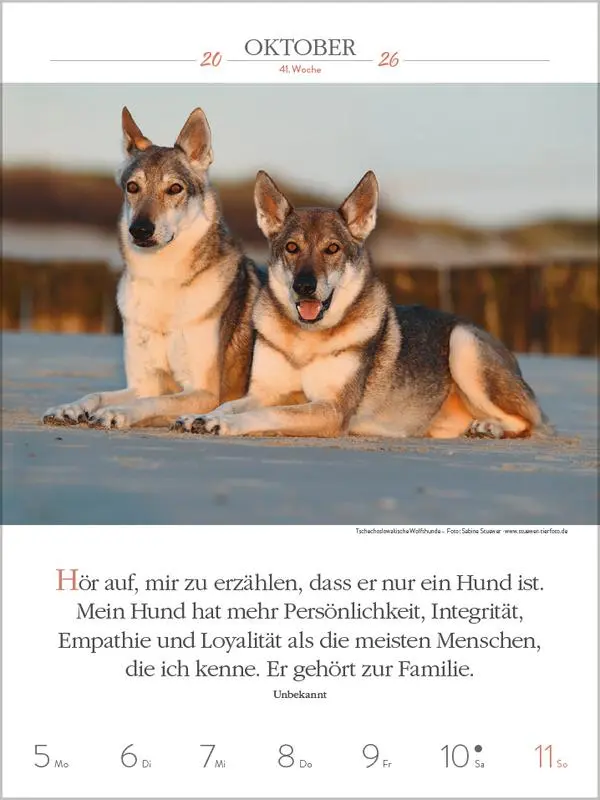 Bild: 9783731884392 | Literaturkalender Hunde 2026 | Verlag Korsch | Kalender | 54 S. | 2026