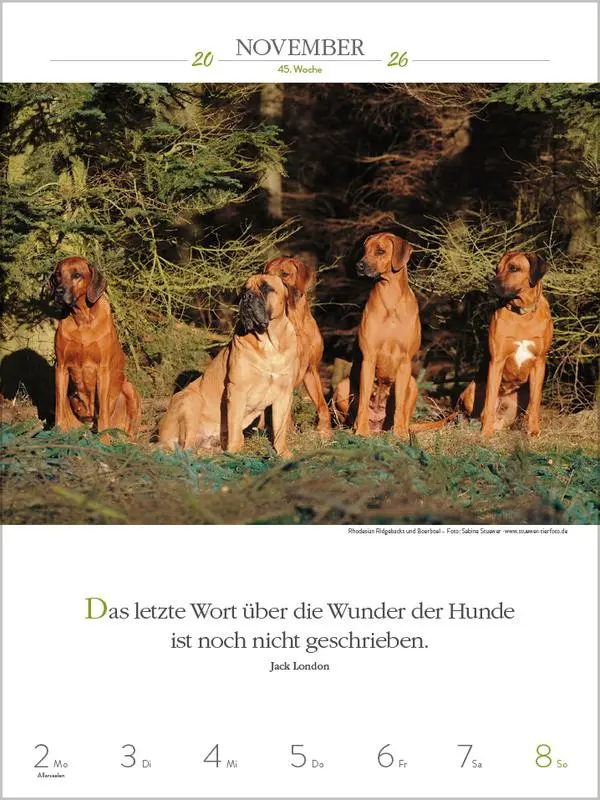 Bild: 9783731884392 | Literaturkalender Hunde 2026 | Verlag Korsch | Kalender | 54 S. | 2026