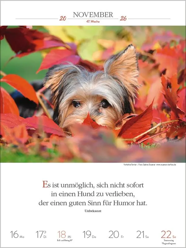 Bild: 9783731884392 | Literaturkalender Hunde 2026 | Verlag Korsch | Kalender | 54 S. | 2026