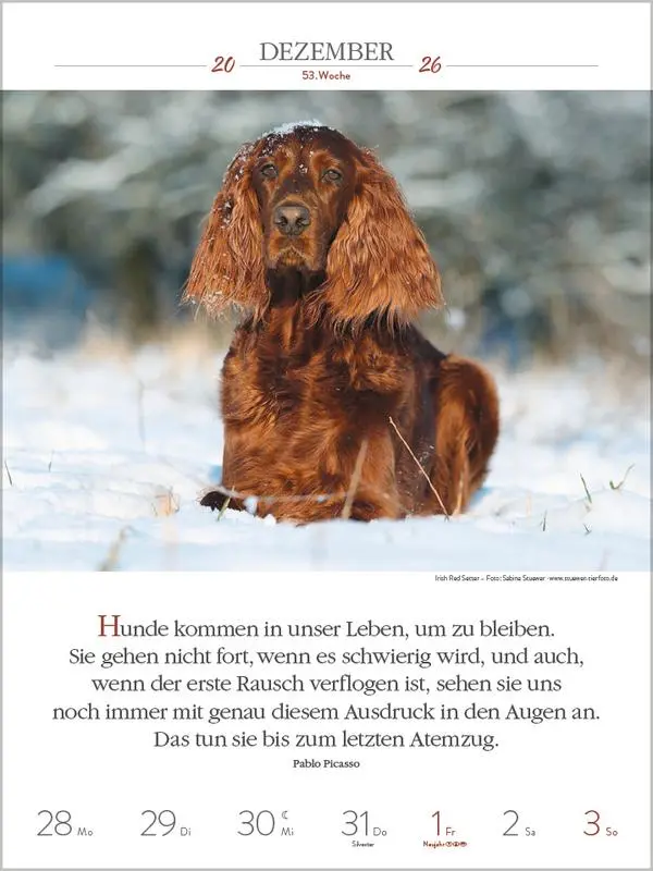 Bild: 9783731884392 | Literaturkalender Hunde 2026 | Verlag Korsch | Kalender | 54 S. | 2026